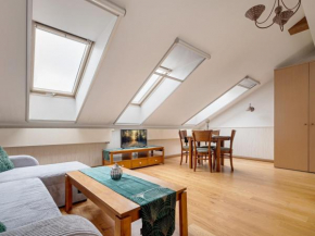Cozy apartment in Old Town Vilnius